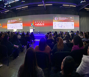 Galeria de Fotos - Feira 20ª Edição Rabbit Crescer